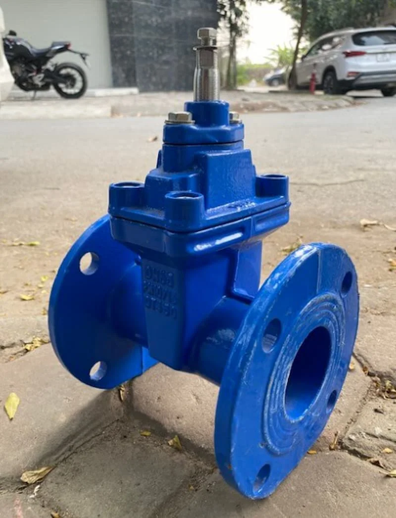 Hình minh họa (3)