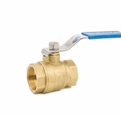 Hình ảnh minh họa (3)