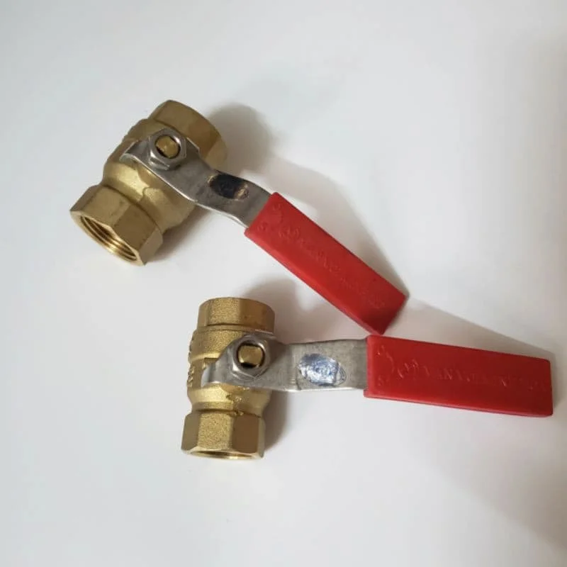 Hình minh họa (1)