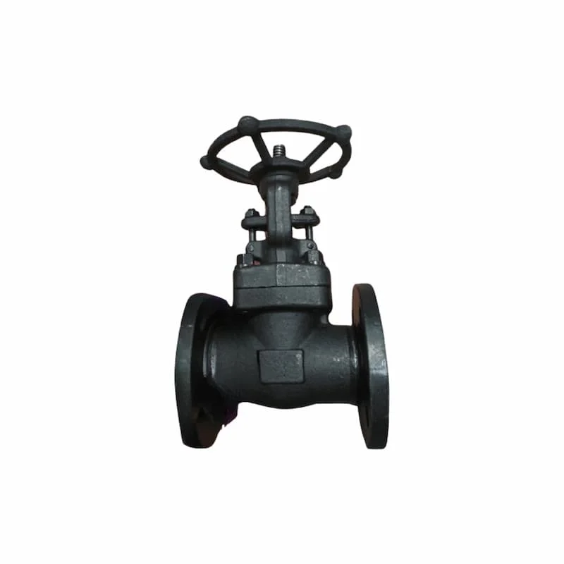 Hình minh họa (3)