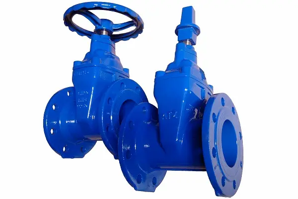 Hình ảnh minh họa (2)