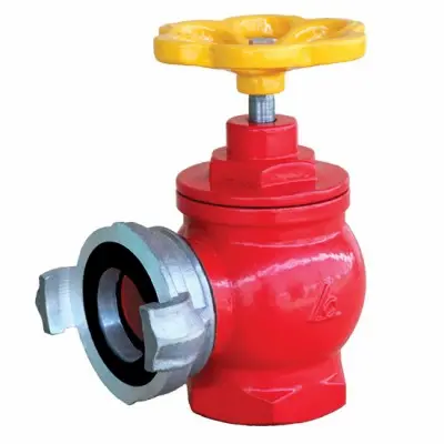 Hình ảnh minh họa (2)