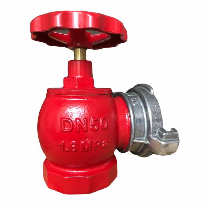 Hình ảnh minh họa (1)