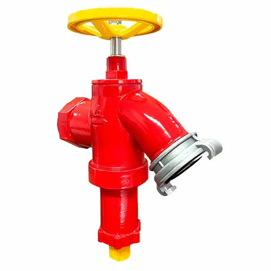 Hình ảnh minh họa (2)