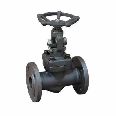 Hình ảnh minh họa (1)