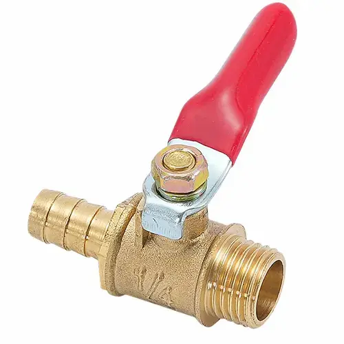 Hình ảnh minh họa (2)