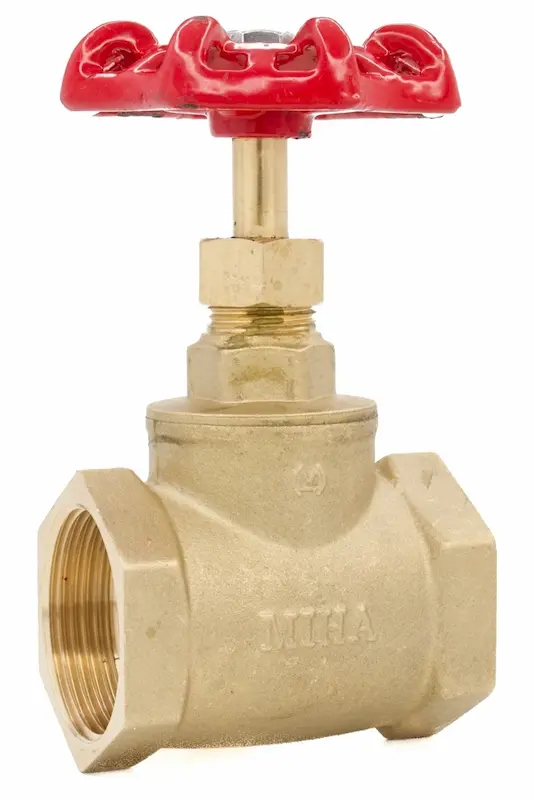 Hình ảnh minh họa (1)