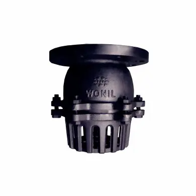 Hình ảnh minh họa (2)