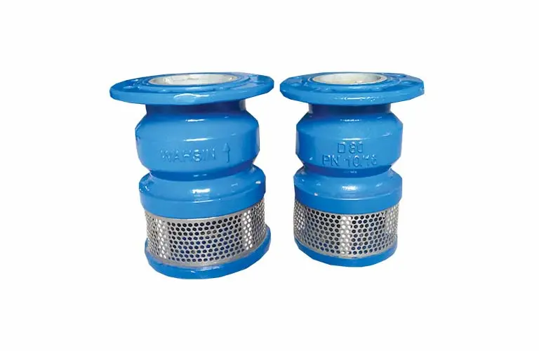 Hình ảnh minh họa (1)