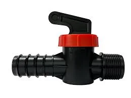 Hình ảnh minh họa (3)