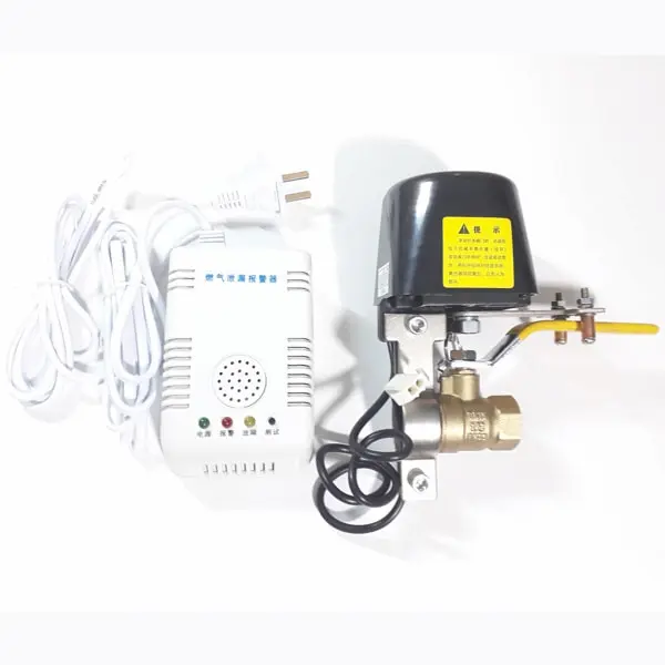 Hình ảnh minh họa (1)