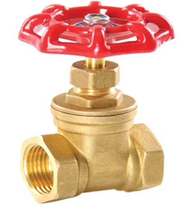 Hình ảnh minh họa (3)