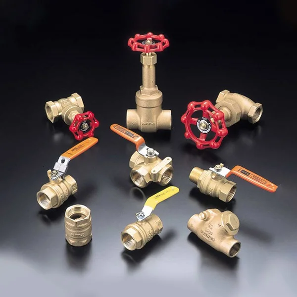 Hình ảnh minh họa (3)