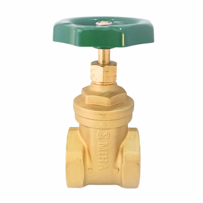 Hình ảnh minh họa (1)