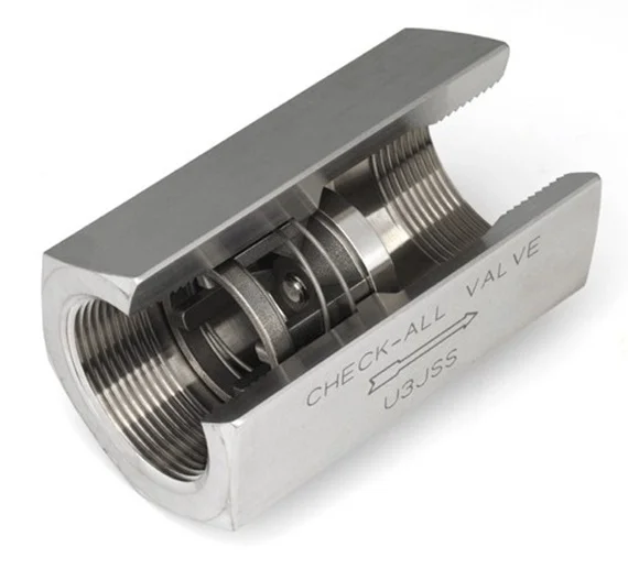 Hình ảnh minh họa (3)