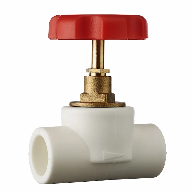 Hình ảnh minh họa (1)