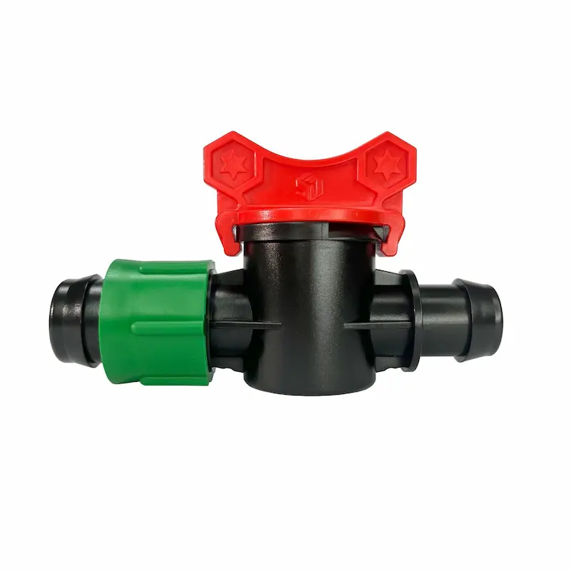 Hình ảnh minh họa (2)