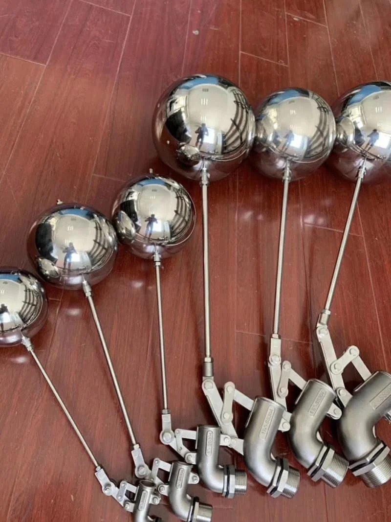 Hình minh họa (2)