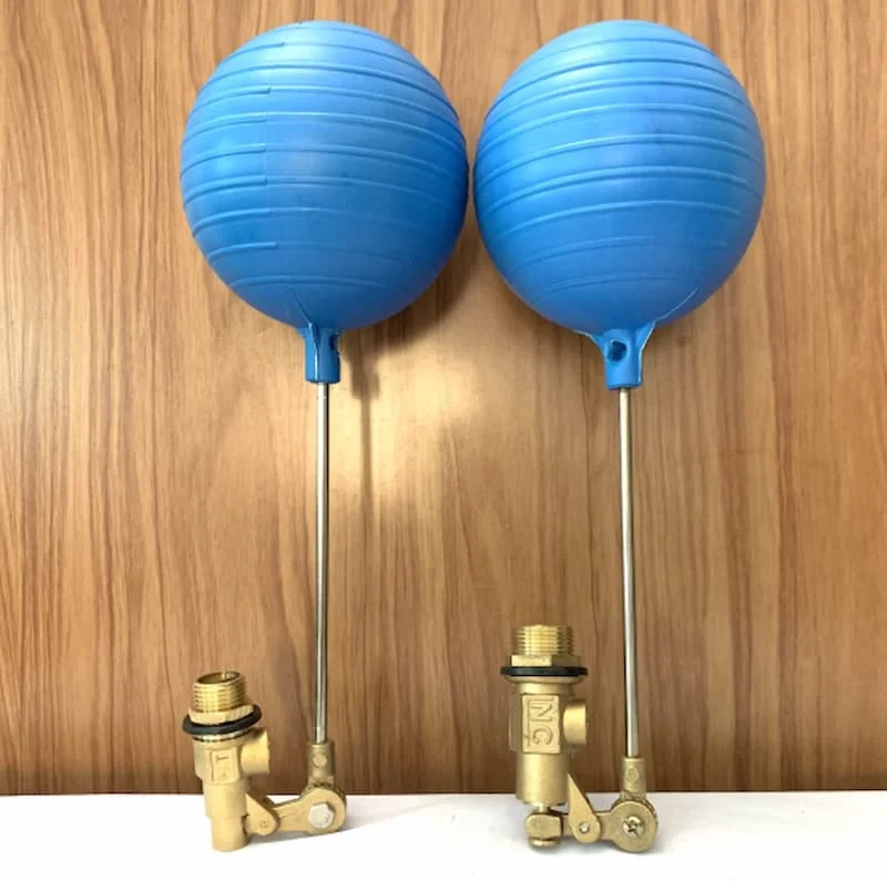 Hình minh họa (3)