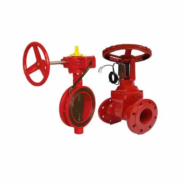 Hình ảnh minh họa (1)