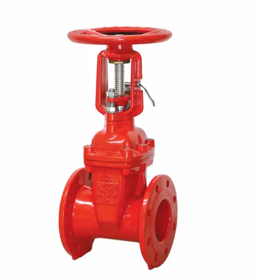 Hình ảnh minh họa (1)