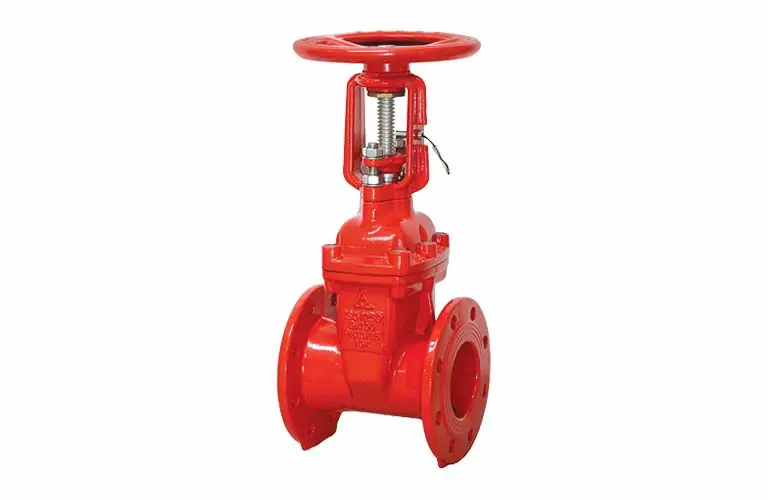 Hình ảnh minh họa (2)