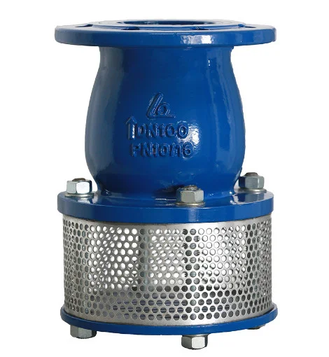 Hình ảnh minh họa (3)