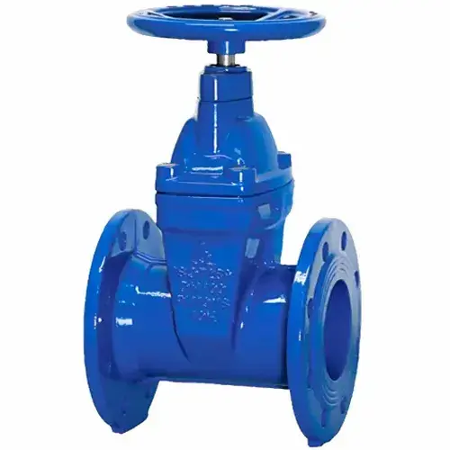 Hình ảnh minh họa (1)