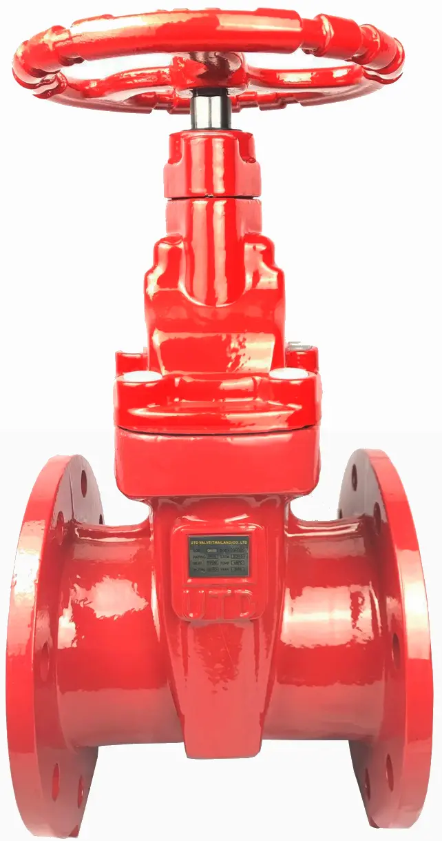 Hình ảnh minh họa (1)