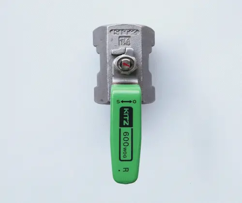 Hình ảnh minh họa (2)