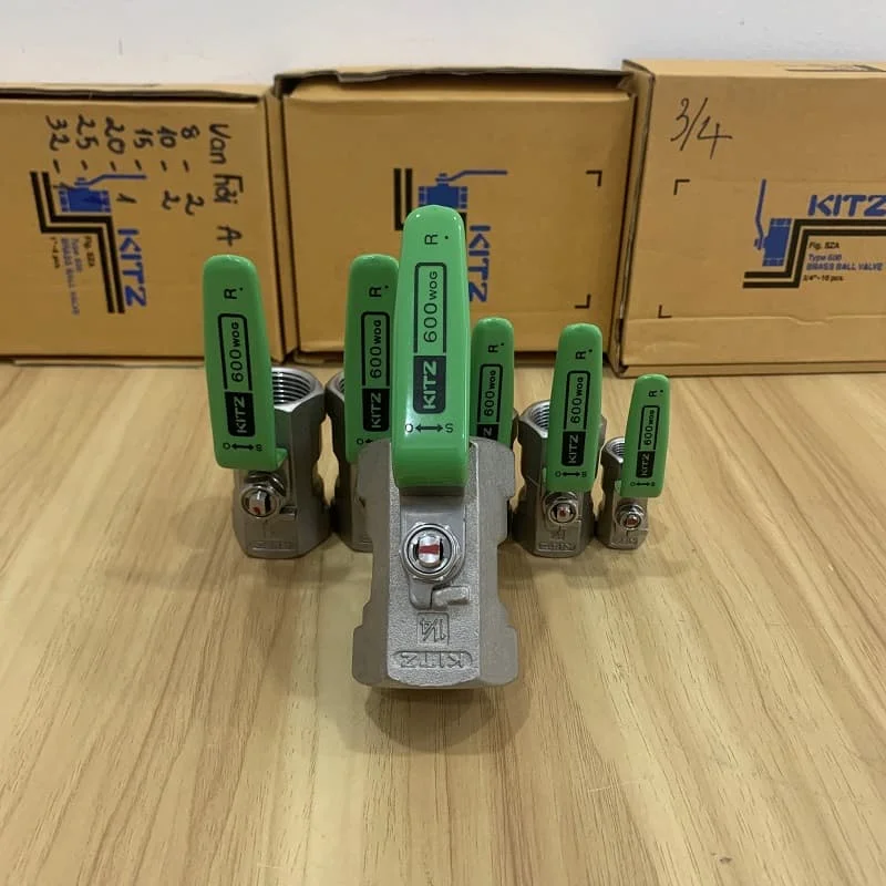 Hình minh họa (3)