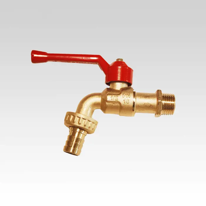 Hình ảnh minh họa (1)