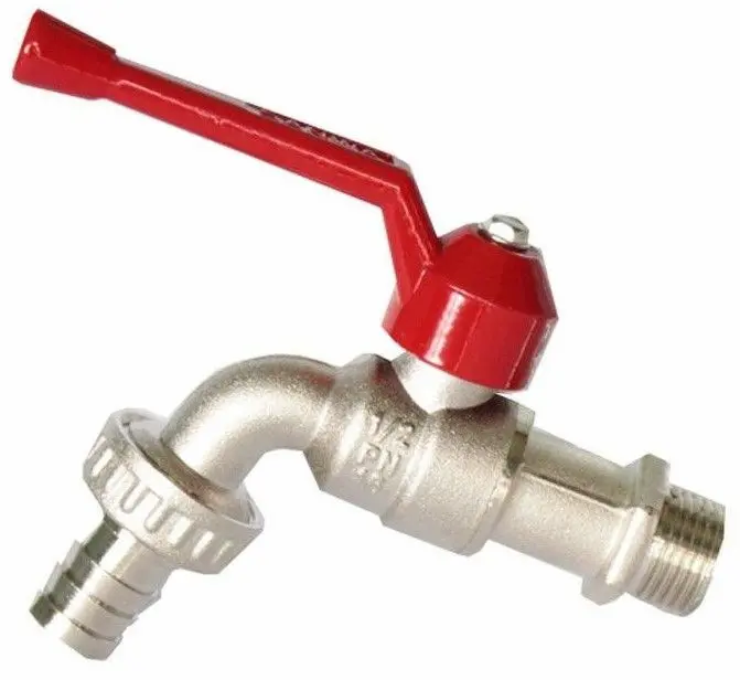 Hình ảnh minh họa (1)