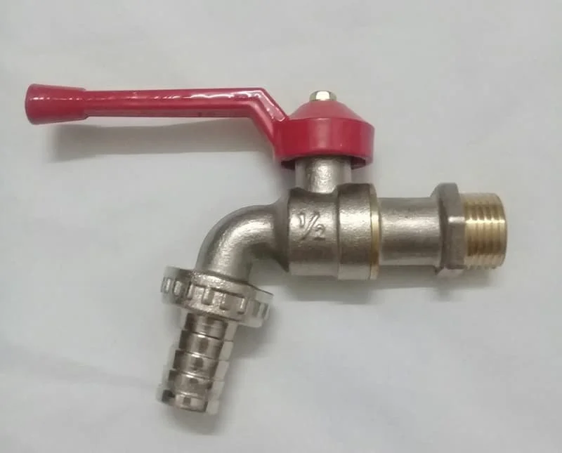 Hình ảnh minh họa (3)