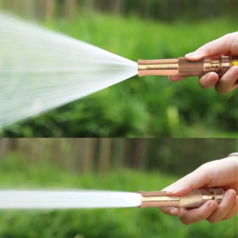 Hình minh họa (1)