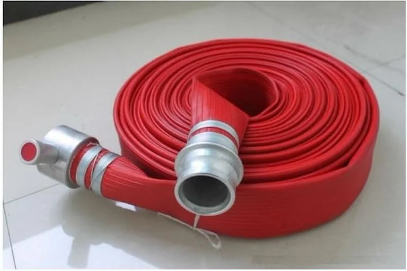 Hình minh họa (3)