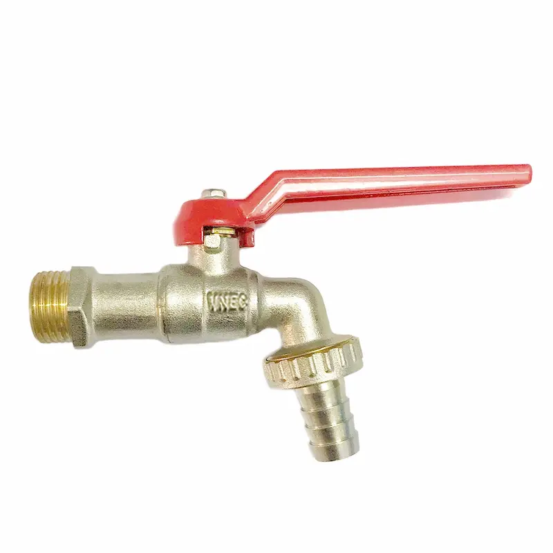 Hình ảnh minh họa (1)